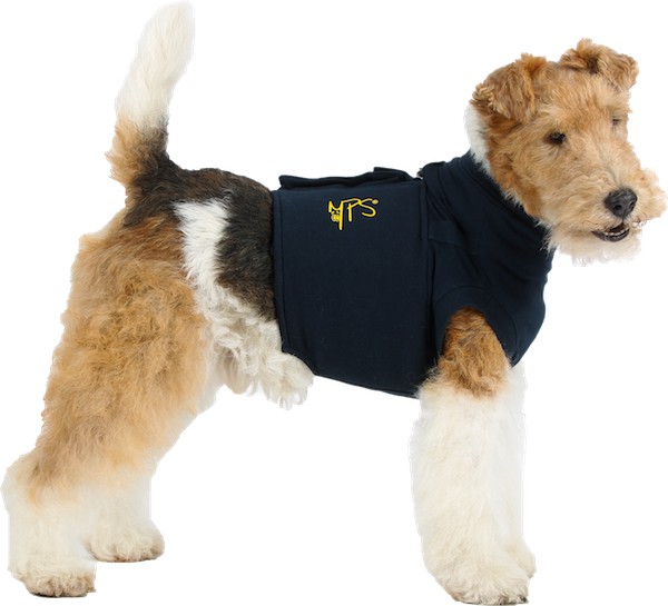 Medical shirt for dogs best sale