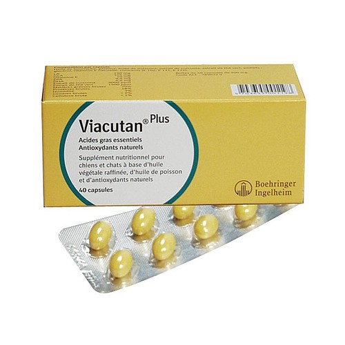 Viacutan plus sale for dogs