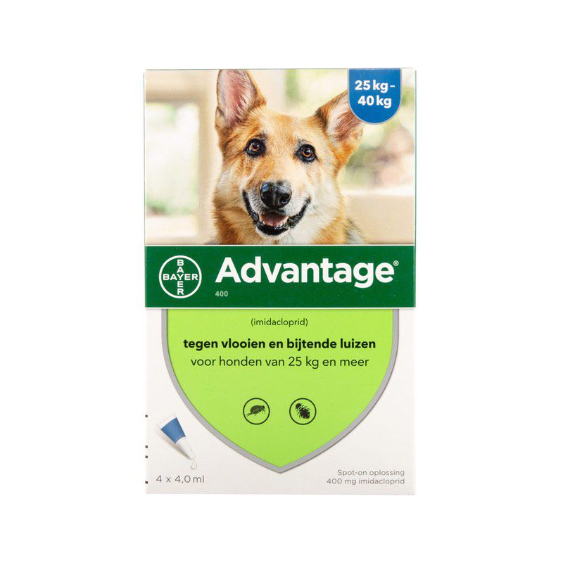 Best price advantage for dogs sale