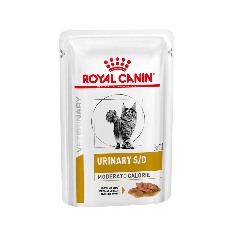 Royal canin urinary so 2024 moderate calorie dog food