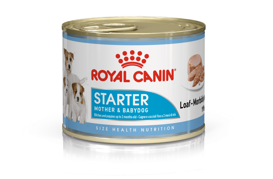 Royal Canin Starter Mother BabyDog Loaf Canned starter food